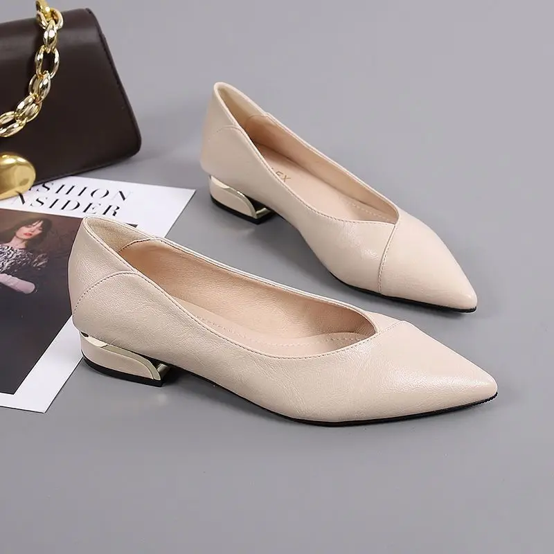 Women Shoes Quick Delivery - Low Heel Elegant Block Ladies Pumps