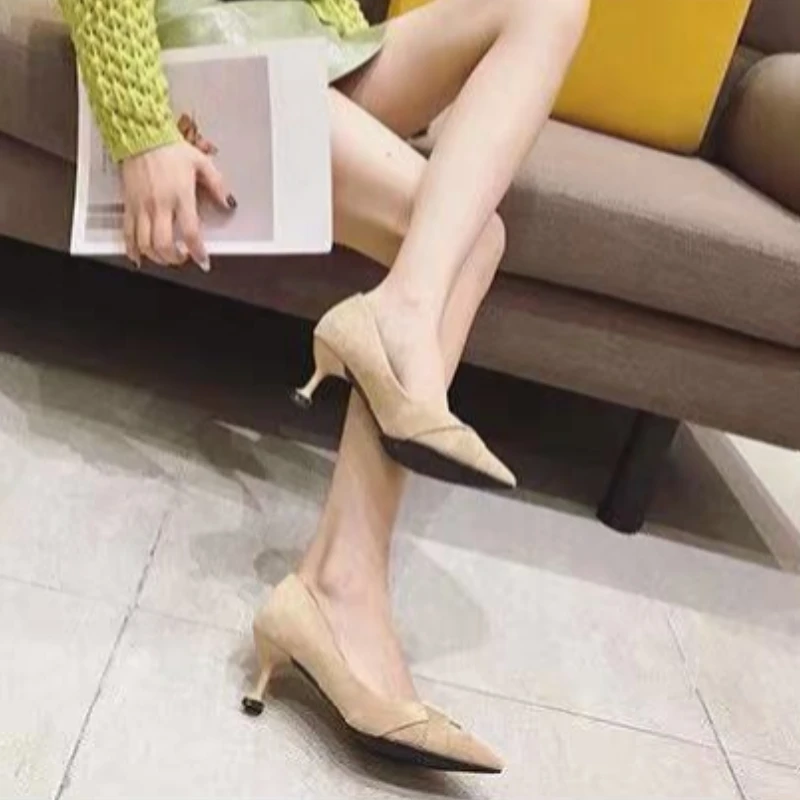 Women Shoes Quick Delivery - Women's Shoes Pointed Toe with Medium