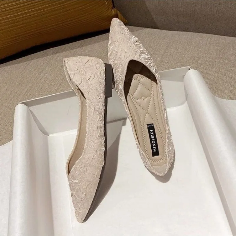 Women's Flat Shoes Pointed Toe - Women Shoes Quick Delivery บทวิจารณ์และราคา